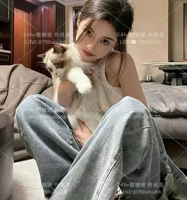 嘉義約砲 燕子