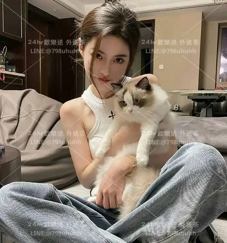 嘉義約砲 燕子